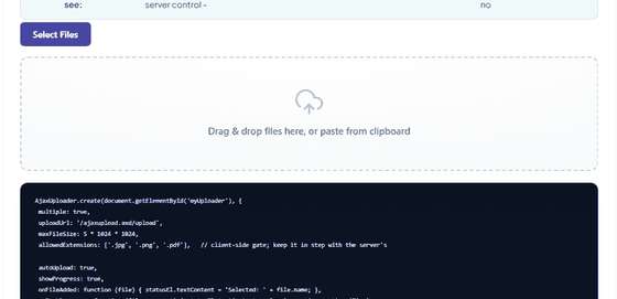 The JavaScript API demo showing the uploader and its configuration source