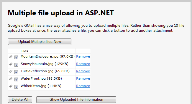 GMail like file upload control